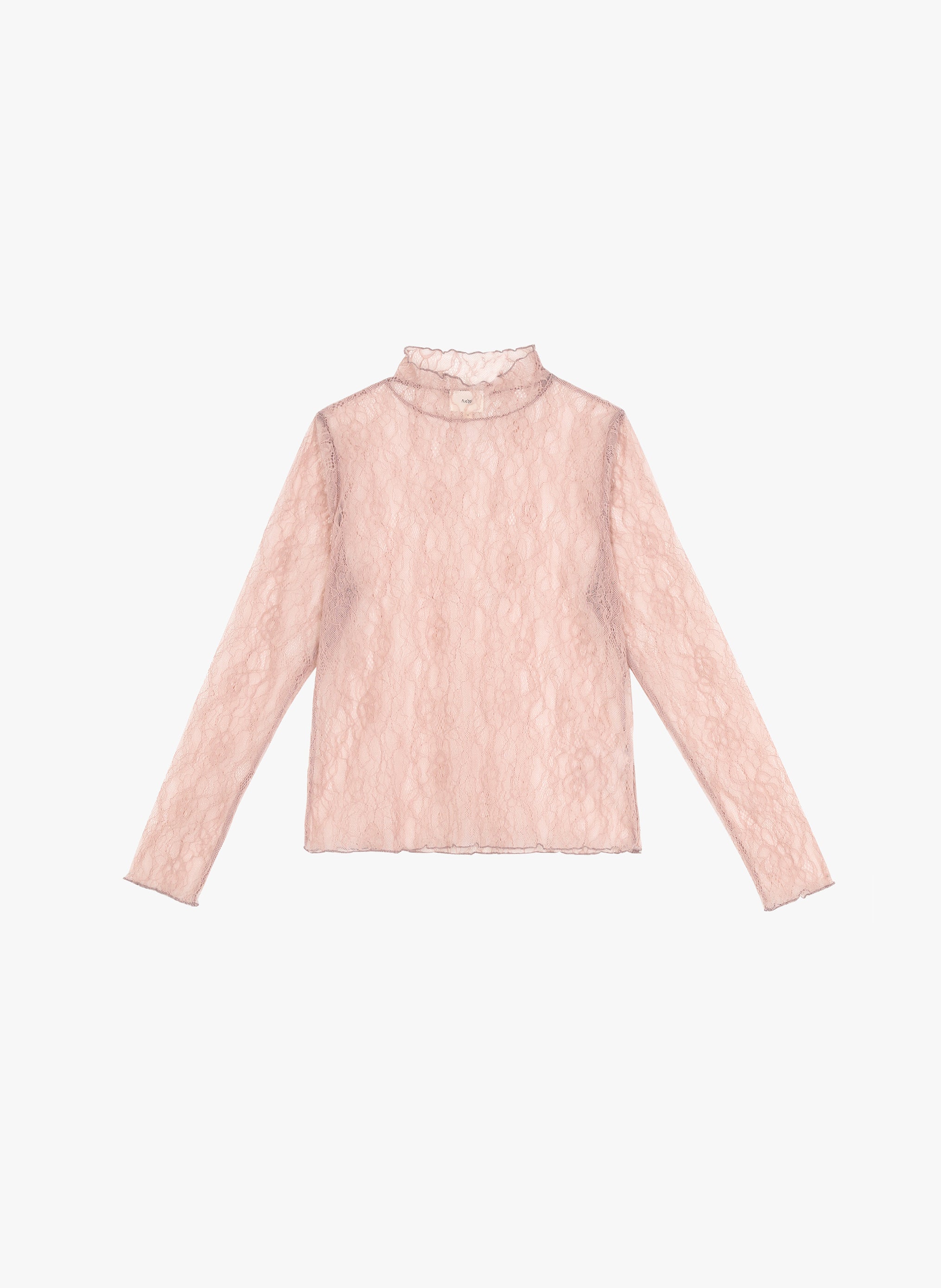 TOP ALIBELY rose