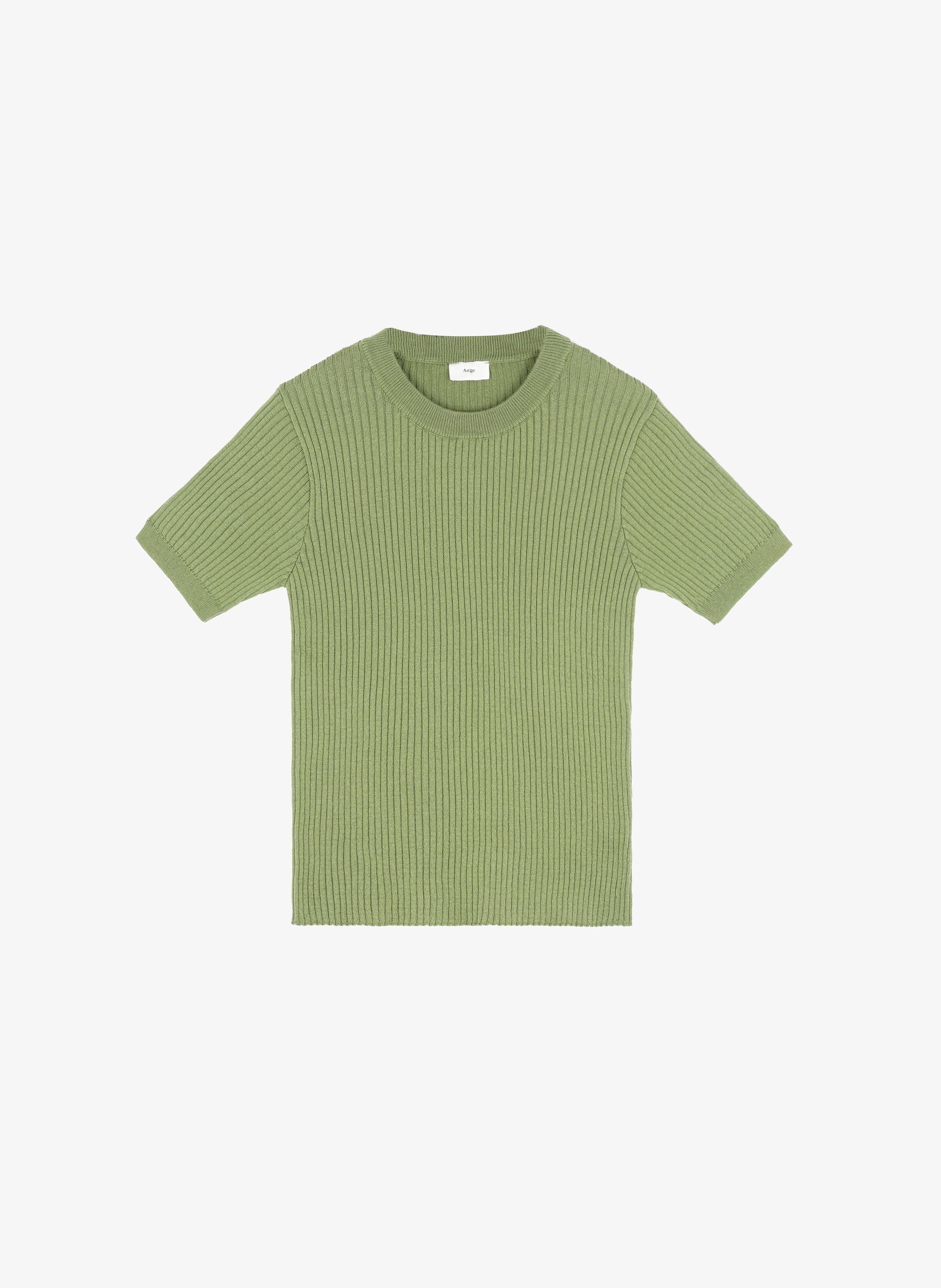 PULL LESIENNA cactus