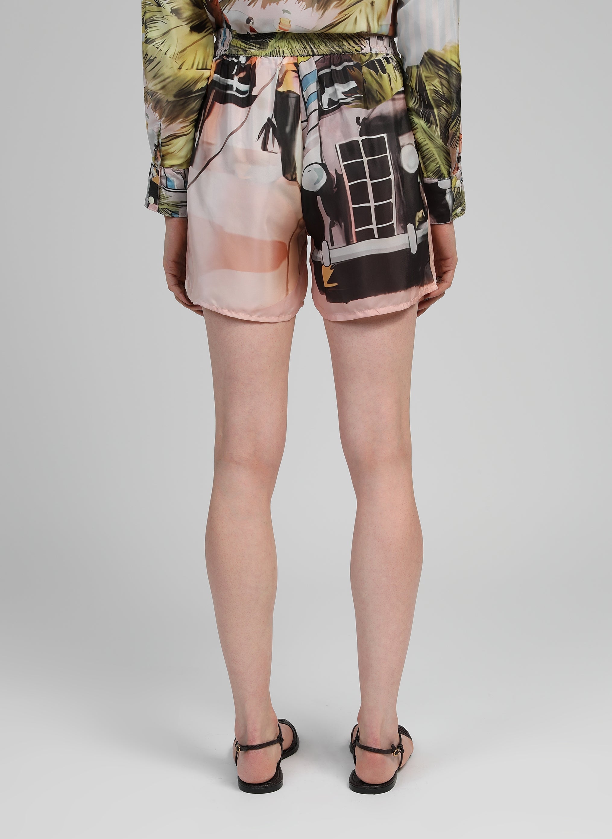 SHORT RINARY florida anis